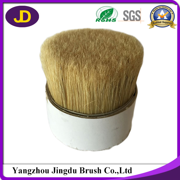 Supply White Pure Chungking Boiled Broom Bristle